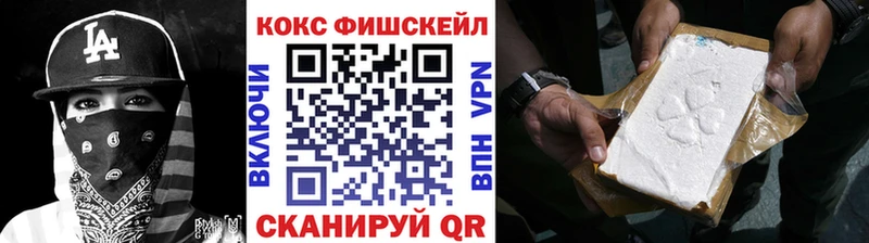 Купить закладки  Ахтубинск  COCAIN FishScale 
