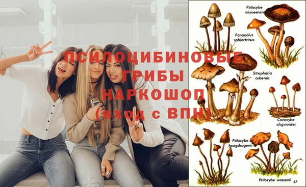 героин Корсаков