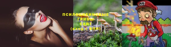 сатива Красноперекопск