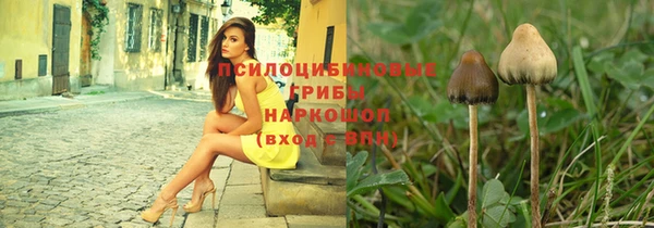 стаф Краснотурьинск