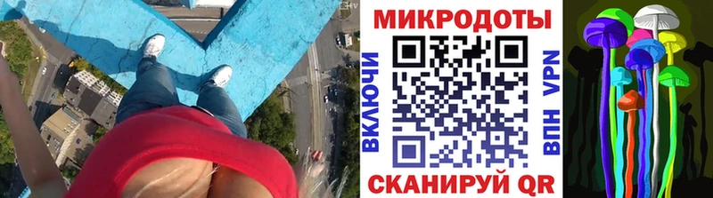 Псилоцибиновые грибы Psilocybine cubensis  Купить где  Ахтубинск 